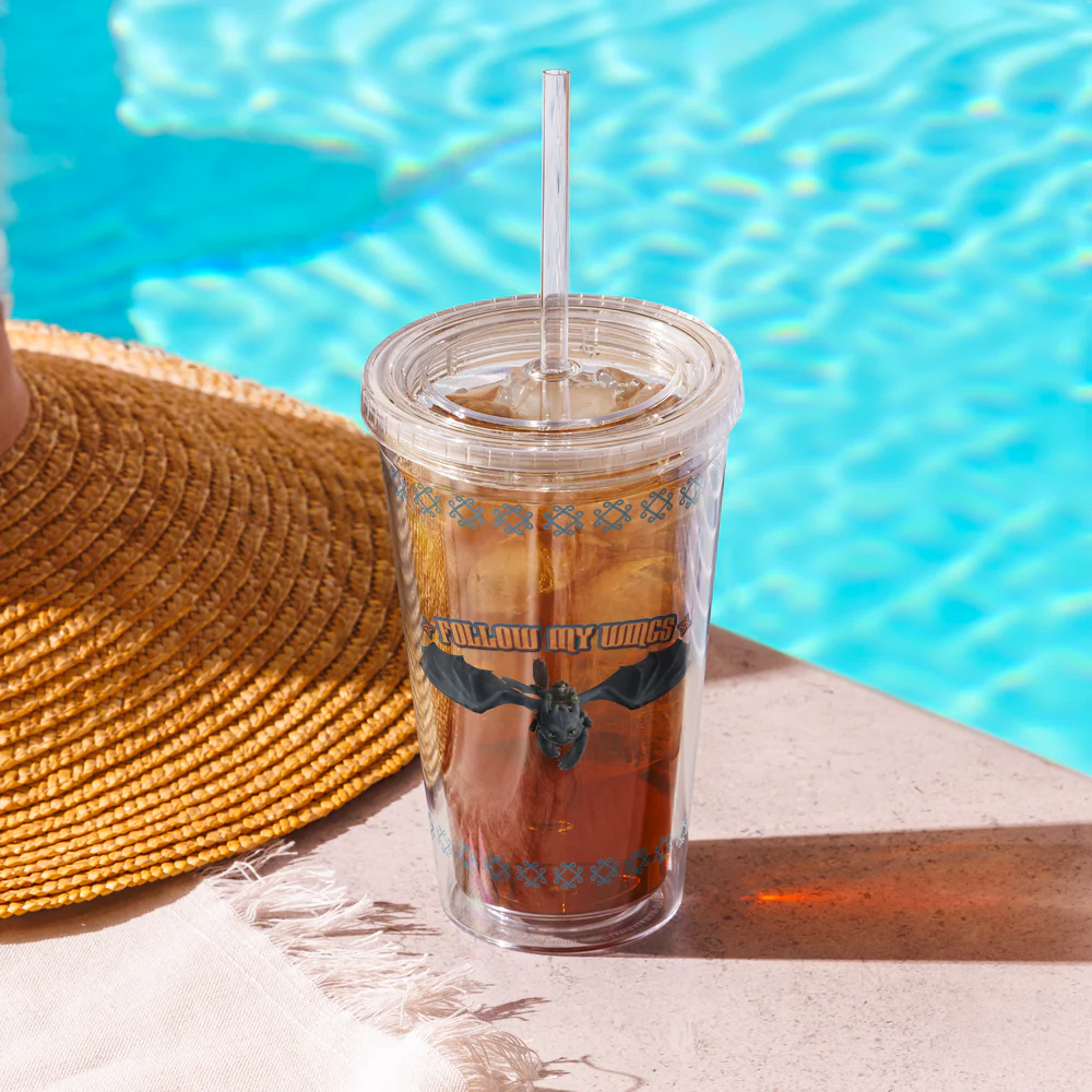 How to Train Your Dragon Follow My Wings Clear Tumbler - Image 3